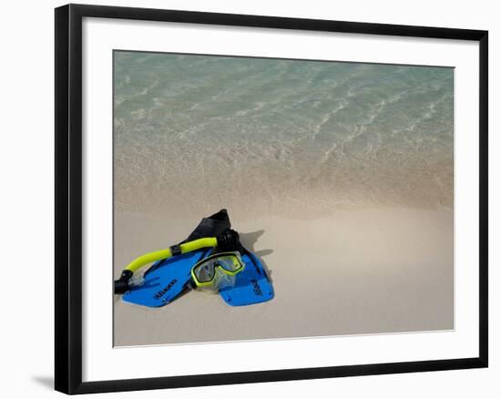 Blue Snorkeling Gear, Renaissance Island, Aruba, Caribbean-Lisa S. Engelbrecht-Framed Photographic Print