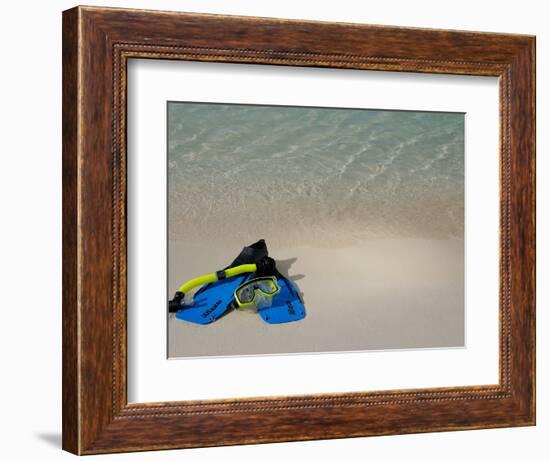 Blue Snorkeling Gear, Renaissance Island, Aruba, Caribbean-Lisa S. Engelbrecht-Framed Photographic Print