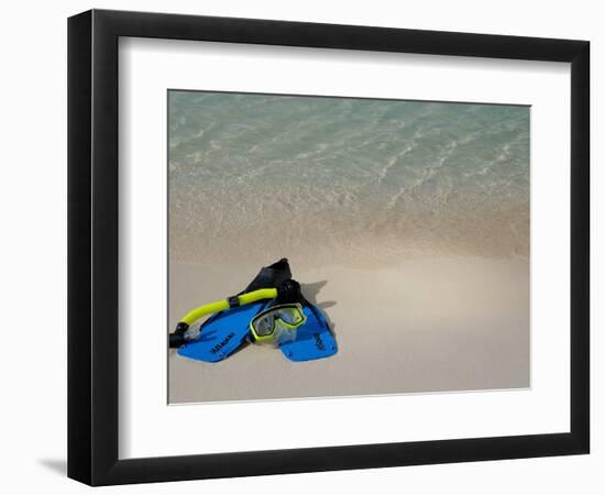 Blue Snorkeling Gear, Renaissance Island, Aruba, Caribbean-Lisa S. Engelbrecht-Framed Photographic Print