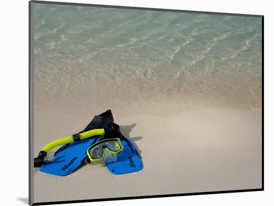 Blue Snorkeling Gear, Renaissance Island, Aruba, Caribbean-Lisa S. Engelbrecht-Mounted Photographic Print