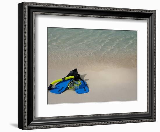 Blue Snorkeling Gear, Renaissance Island, Aruba, Caribbean-Lisa S. Engelbrecht-Framed Photographic Print