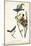 Blue Song Grosbeak-John James Audubon-Mounted Art Print