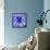 Blue Spider-Teofilo Olivieri-Framed Premier Image Canvas displayed on a wall