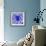 Blue Spider-Teofilo Olivieri-Framed Giclee Print displayed on a wall