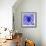 Blue Spider-Teofilo Olivieri-Framed Giclee Print displayed on a wall