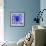 Blue Spider-Teofilo Olivieri-Framed Giclee Print displayed on a wall