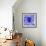 Blue Spider-Teofilo Olivieri-Framed Giclee Print displayed on a wall