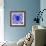 Blue Spider-Teofilo Olivieri-Framed Giclee Print displayed on a wall