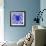 Blue Spider-Teofilo Olivieri-Framed Giclee Print displayed on a wall