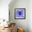 Blue Spider-Teofilo Olivieri-Framed Giclee Print displayed on a wall