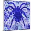 Blue Spider-Teofilo Olivieri-Mounted Giclee Print
