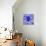 Blue Spider-Teofilo Olivieri-Mounted Giclee Print displayed on a wall