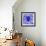 Blue Spider-Teofilo Olivieri-Framed Giclee Print displayed on a wall