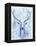 Blue Spirit Deer-Michelle Faber-Framed Premier Image Canvas