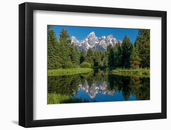 Blue spruce trees and the Grand Tetons, Schwabacher Landing, Grand Teton National Park, Wyoming-Roddy Scheer-Framed Photographic Print