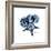 Blue Starfish 1-Albert Koetsier-Framed Premium Giclee Print