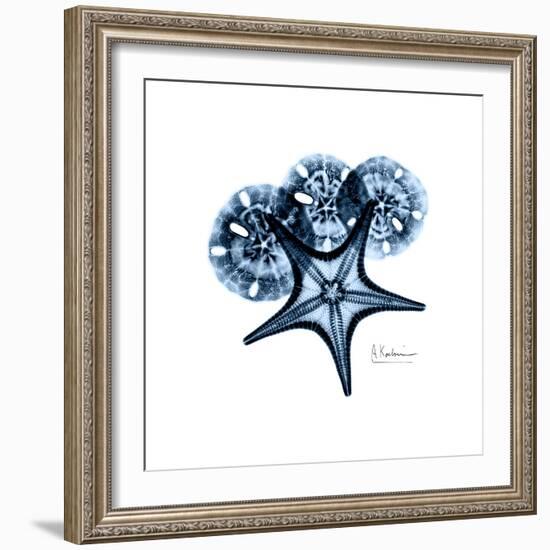 Blue Starfish 1-Albert Koetsier-Framed Premium Giclee Print