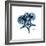 Blue Starfish 1-Albert Koetsier-Framed Premium Giclee Print