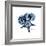 Blue Starfish 1-Albert Koetsier-Framed Premium Giclee Print