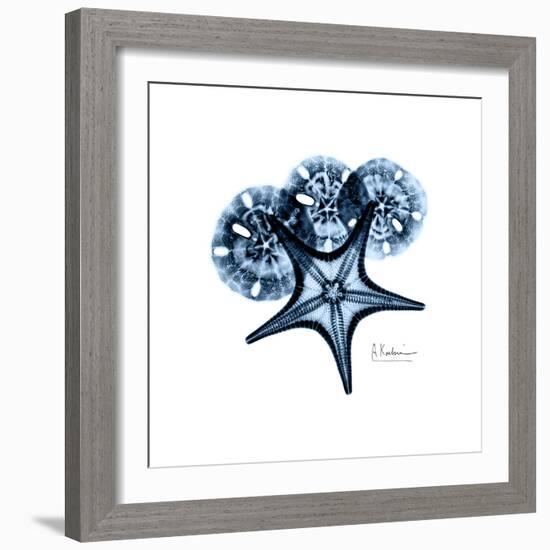 Blue Starfish 1-Albert Koetsier-Framed Premium Giclee Print