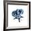 Blue Starfish 1-Albert Koetsier-Framed Premium Giclee Print