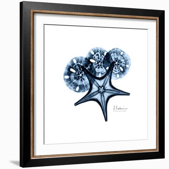 Blue Starfish 1-Albert Koetsier-Framed Premium Giclee Print