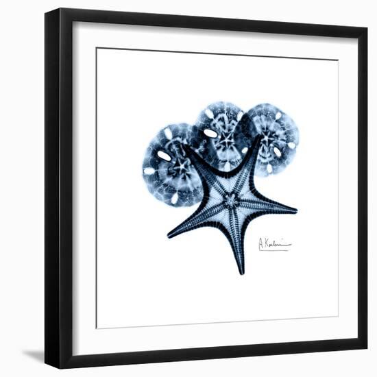 Blue Starfish 1-Albert Koetsier-Framed Premium Giclee Print