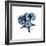 Blue Starfish 1-Albert Koetsier-Framed Premium Giclee Print