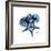Blue Starfish 1-Albert Koetsier-Framed Premium Giclee Print