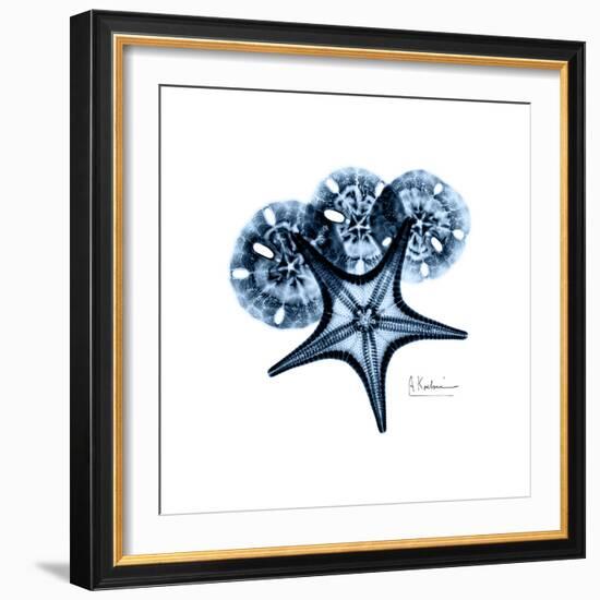 Blue Starfish 1-Albert Koetsier-Framed Premium Giclee Print