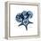 Blue Starfish 1-Albert Koetsier-Framed Stretched Canvas