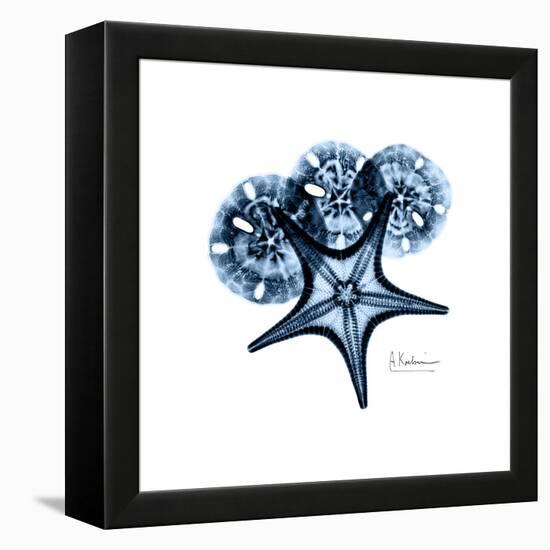 Blue Starfish 1-Albert Koetsier-Framed Stretched Canvas