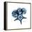 Blue Starfish 1-Albert Koetsier-Framed Stretched Canvas