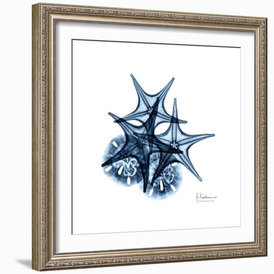 Blue Starfish 2-Albert Koetsier-Framed Premium Giclee Print