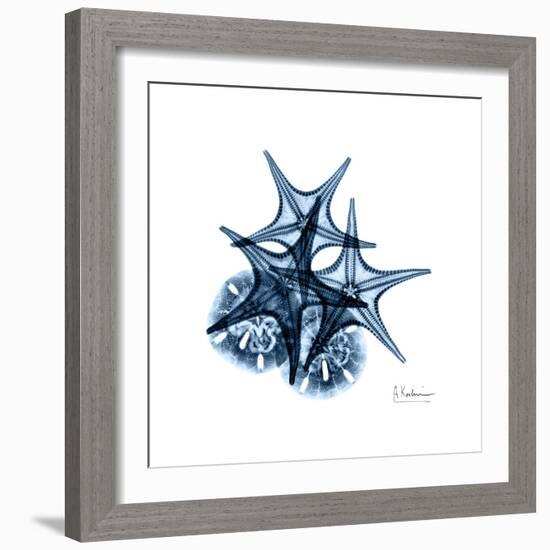 Blue Starfish 2-Albert Koetsier-Framed Premium Giclee Print