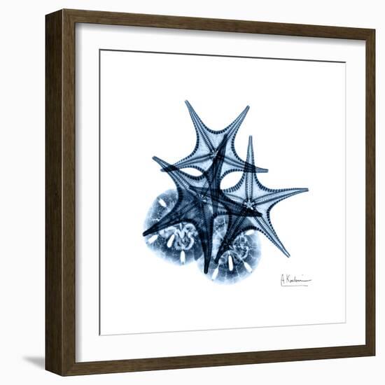 Blue Starfish 2-Albert Koetsier-Framed Premium Giclee Print