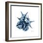 Blue Starfish 2-Albert Koetsier-Framed Premium Giclee Print