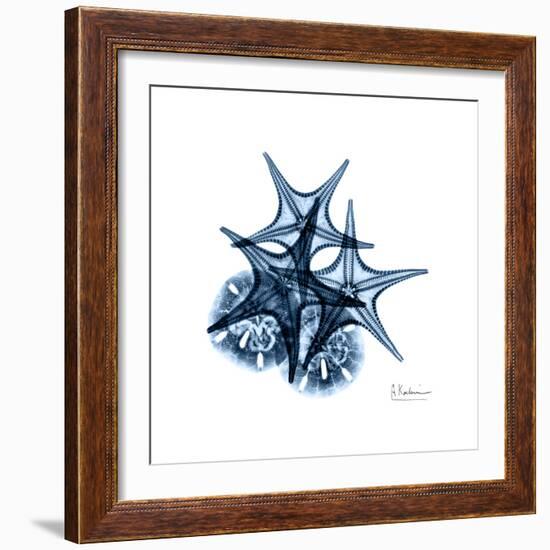 Blue Starfish 2-Albert Koetsier-Framed Premium Giclee Print