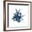 Blue Starfish 2-Albert Koetsier-Framed Premium Giclee Print