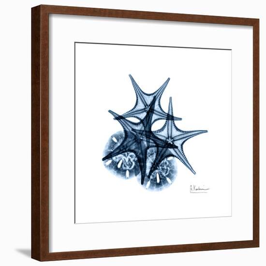 Blue Starfish 2-Albert Koetsier-Framed Premium Giclee Print