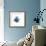 Blue Starfish 2-Albert Koetsier-Framed Premium Giclee Print displayed on a wall