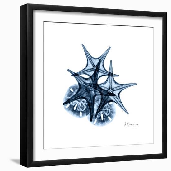 Blue Starfish 2-Albert Koetsier-Framed Premium Giclee Print