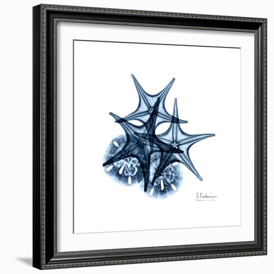 Blue Starfish 2-Albert Koetsier-Framed Premium Giclee Print