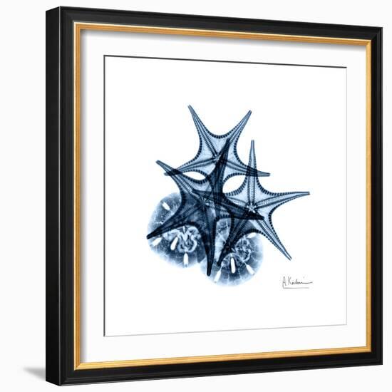 Blue Starfish 2-Albert Koetsier-Framed Premium Giclee Print