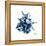 Blue Starfish 2-Albert Koetsier-Framed Stretched Canvas