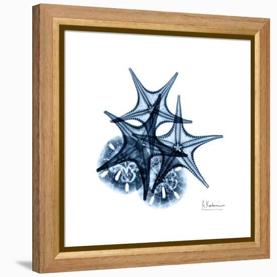 Blue Starfish 2-Albert Koetsier-Framed Stretched Canvas