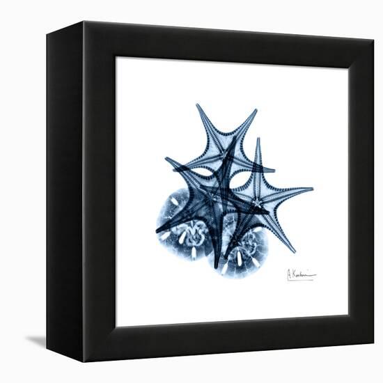 Blue Starfish 2-Albert Koetsier-Framed Stretched Canvas