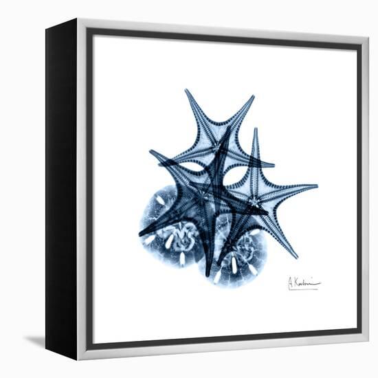 Blue Starfish 2-Albert Koetsier-Framed Stretched Canvas