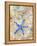 Blue Starfish-LuAnn Roberto-Framed Stretched Canvas