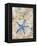 Blue Starfish-LuAnn Roberto-Framed Stretched Canvas